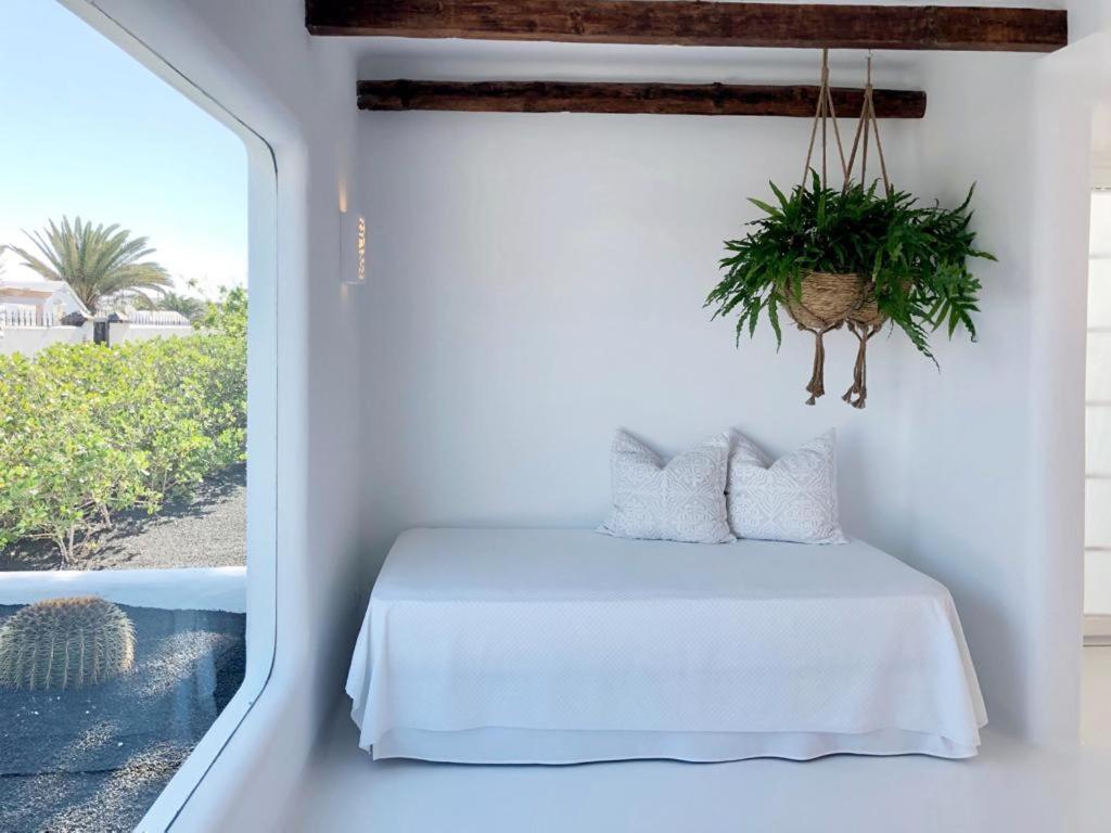 플라야블랑카 Casa Tamatina By Mhousing 아파트 외부 사진
